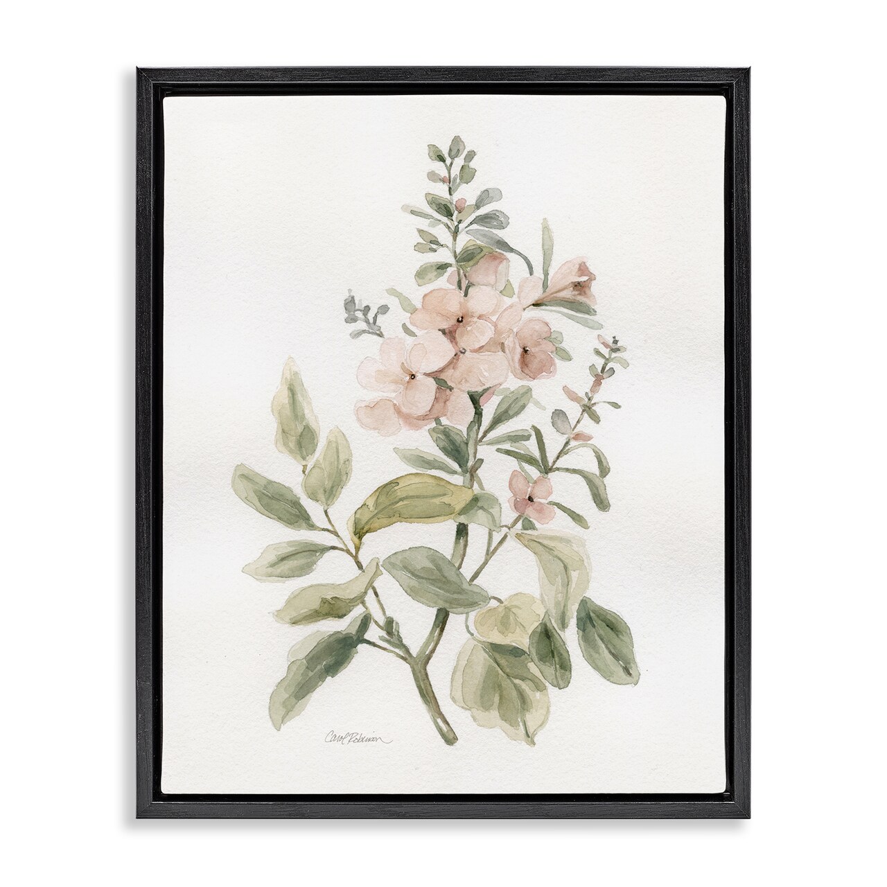 Stupell Industries Dainty Blooming Botanical Framed Floater Canvas Wall Art Design by Carol Robinson
